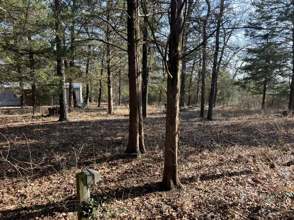 Sweetgum Drive Murchison, TX 75778