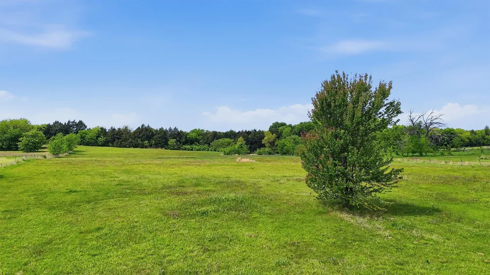 155 Basin Springs Road Sadler, TX 76264