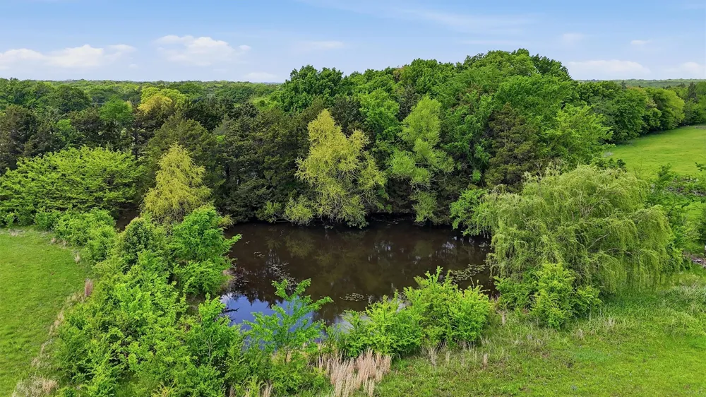 155 Basin Springs Road Sadler, TX 76264