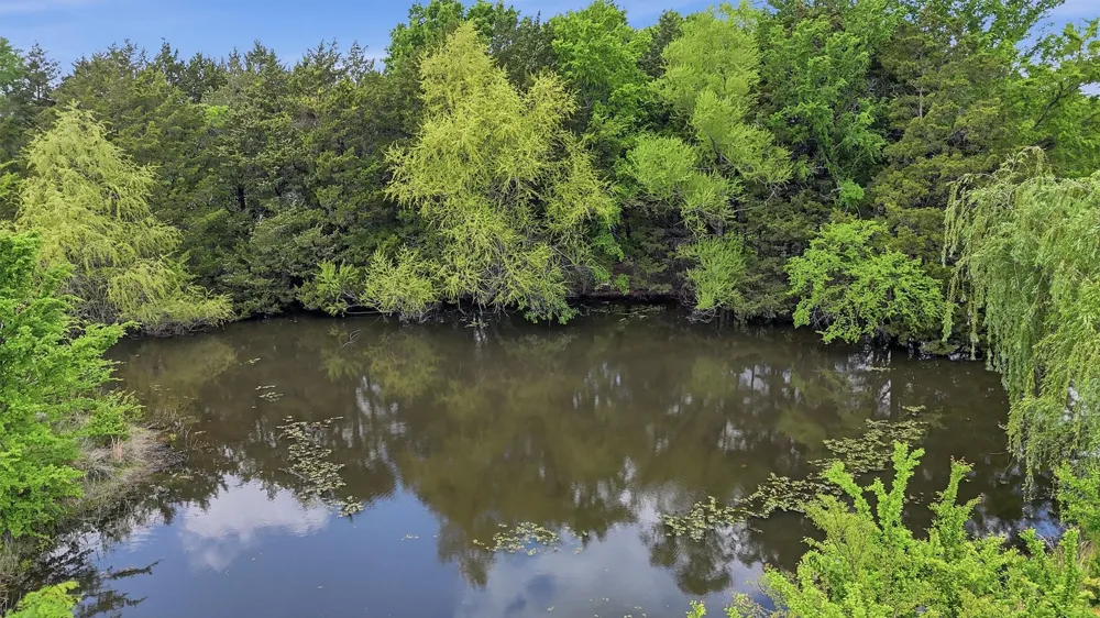 155 Basin Springs Road Sadler, TX 76264
