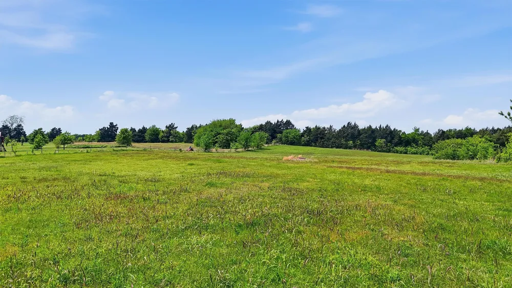 155 Basin Springs Road Sadler, TX 76264