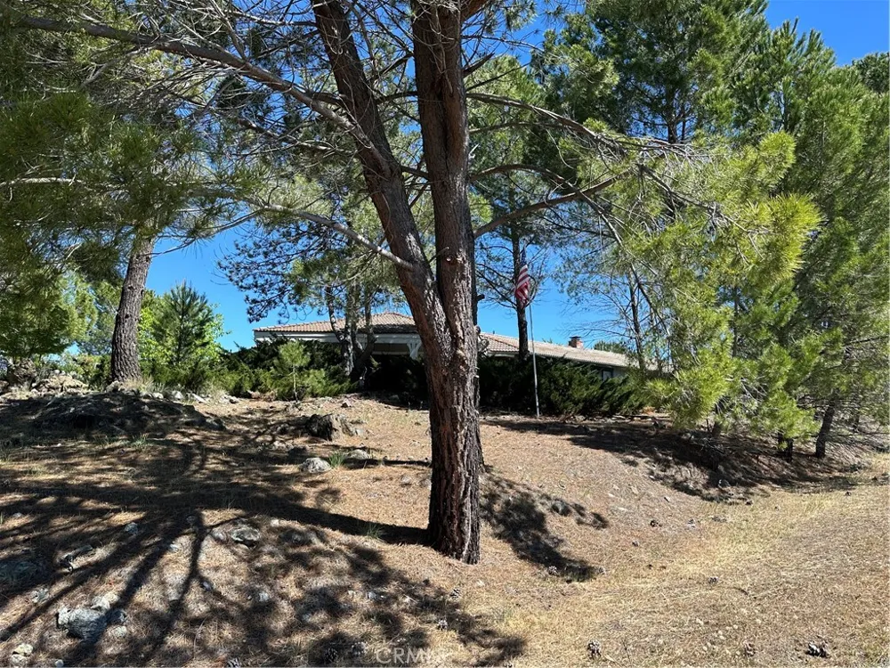 460 Lake Vista Drive Lakeport, CA 95453