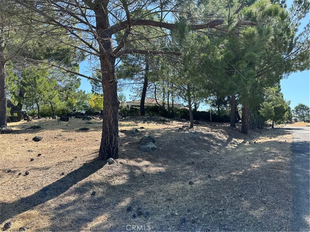 460 Lake Vista Drive Lakeport, CA 95453