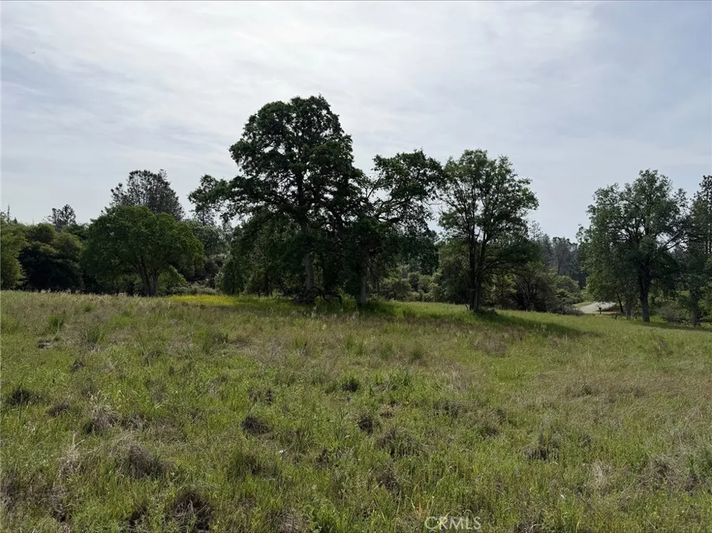 5 Mountain Springs Road North Fork, CA 93643