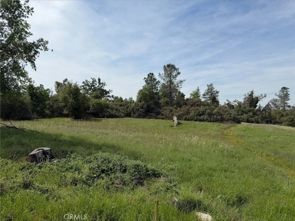 5 Mountain Springs Road North Fork, CA 93643