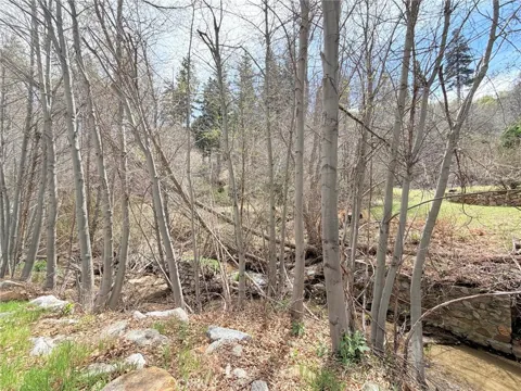 29949 Hook Creek