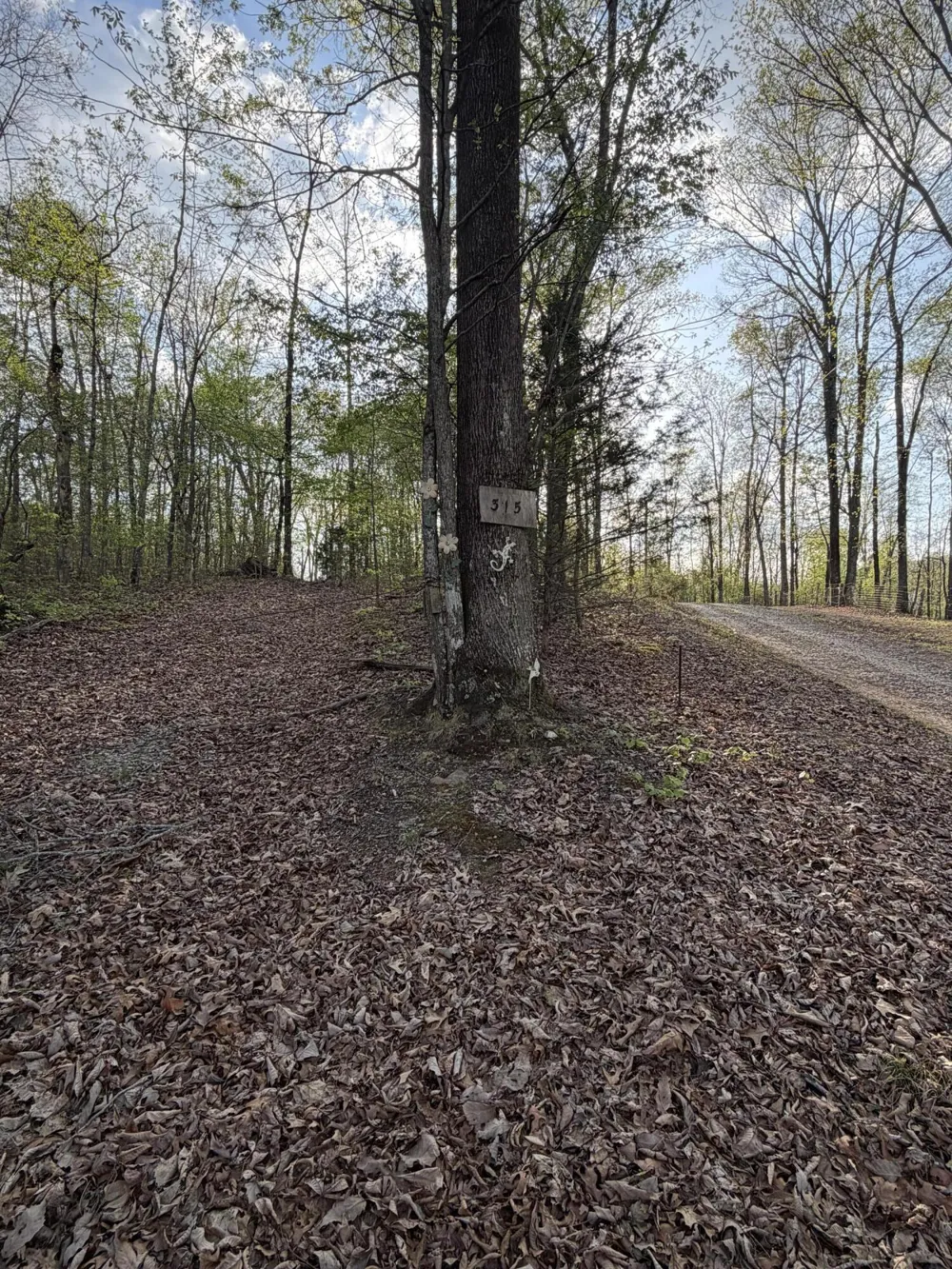 Henry Road Whitwell, TN 37397