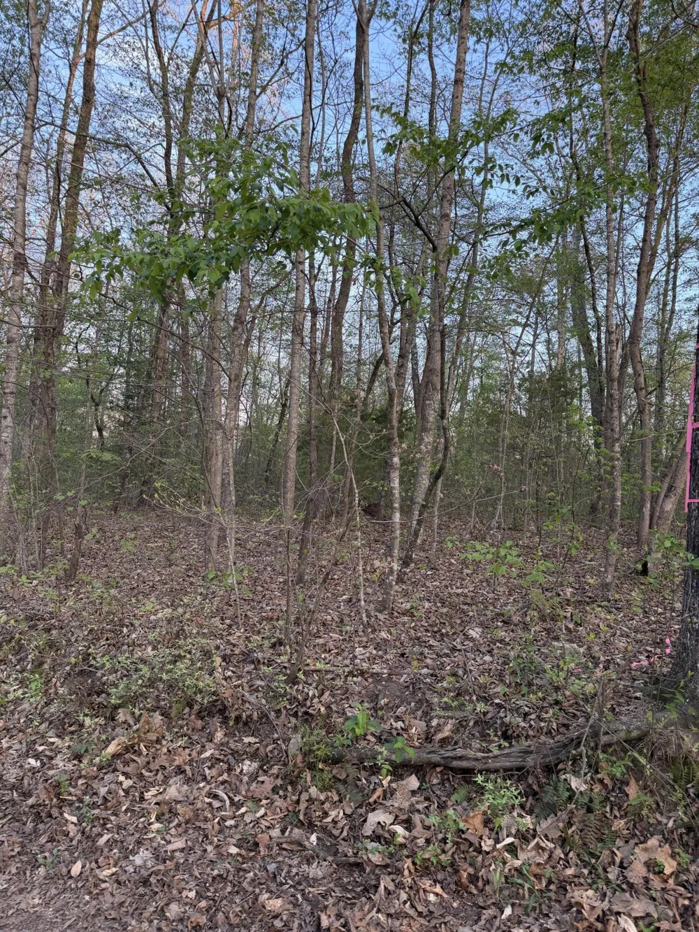 Henry Road Whitwell, TN 37397