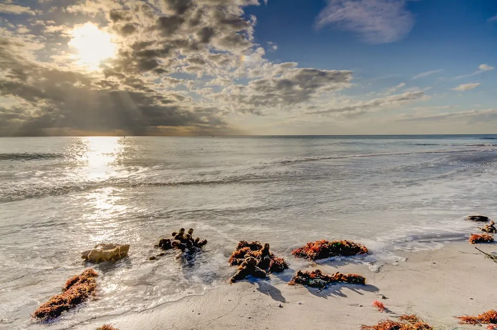317 12TH AVENUE Indian Rocks Beach, FL 33785