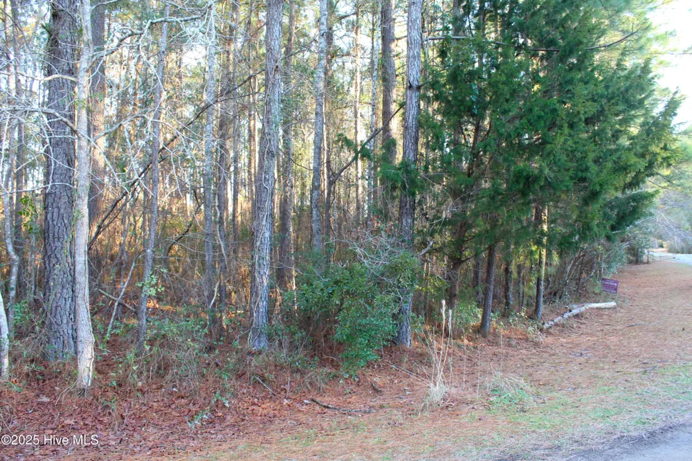 145 Heron Drive Havelock, NC 28532