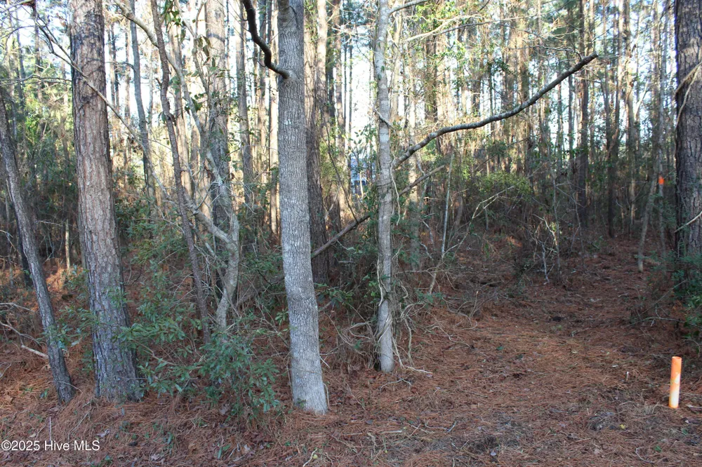 145 Heron Drive Havelock, NC 28532