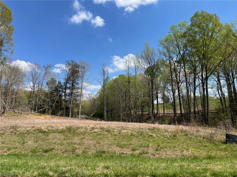 8004 Willow Glen Trail Greensboro, NC 27455