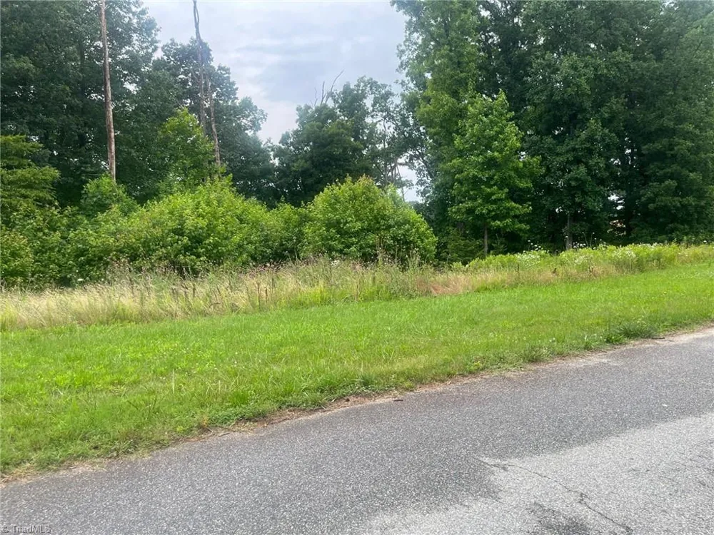 590 Hiltons Landing Drive Greensboro, NC 27455