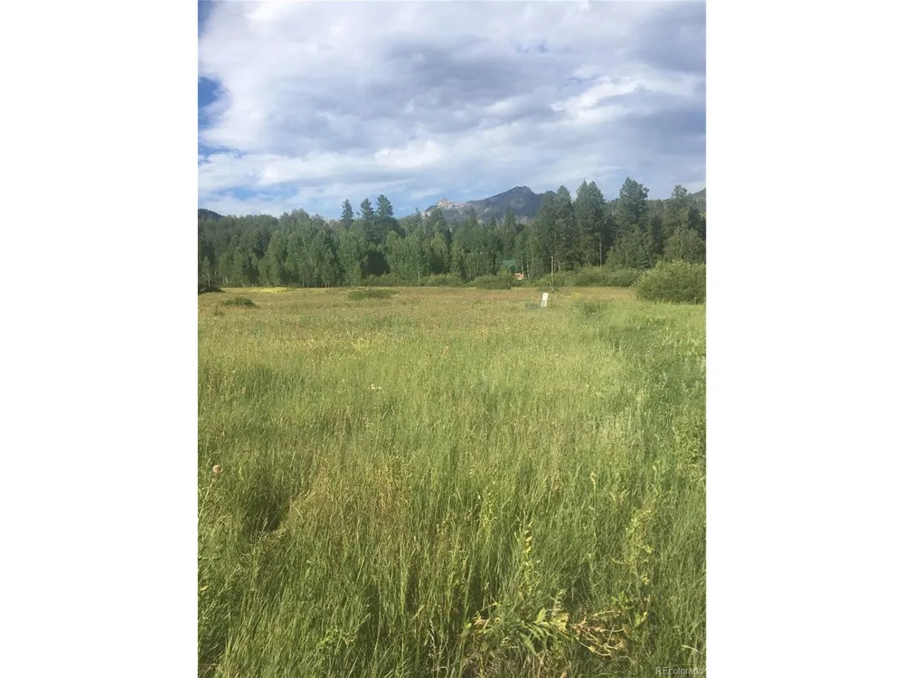 205 Lost Valley Drive Creede, CO 81130