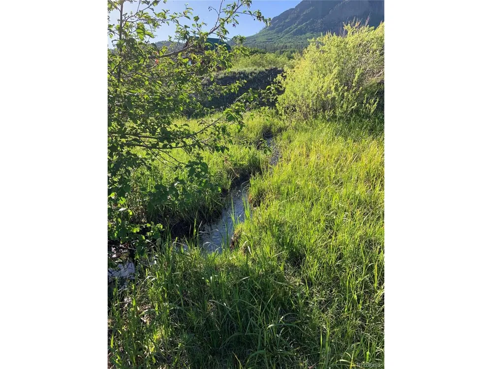 205 Lost Valley Drive Creede, CO 81130