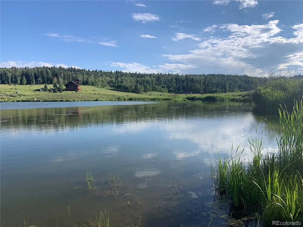 205 Lost Valley Drive Creede, CO 81130