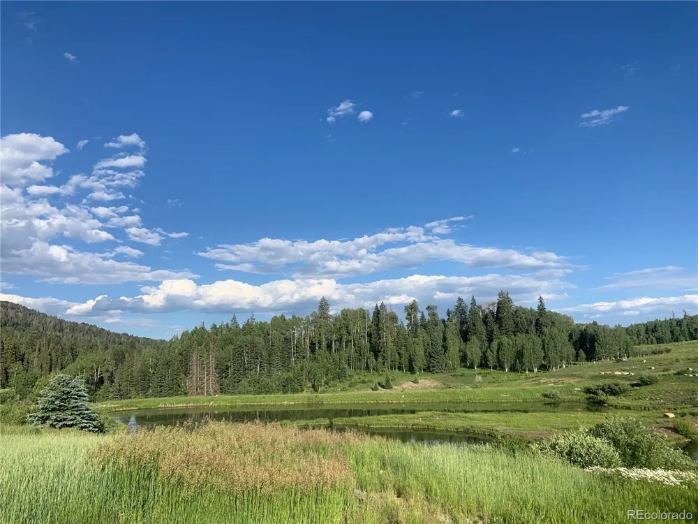 205 Lost Valley Drive Creede, CO 81130