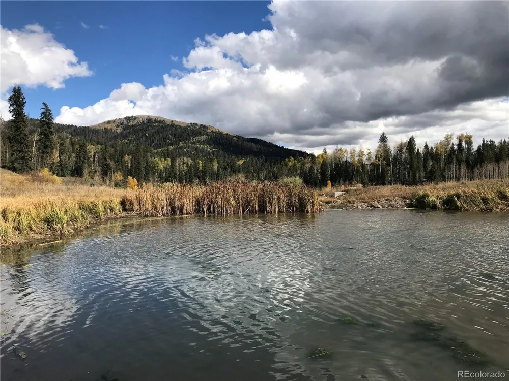 205 Lost Valley Drive Creede, CO 81130