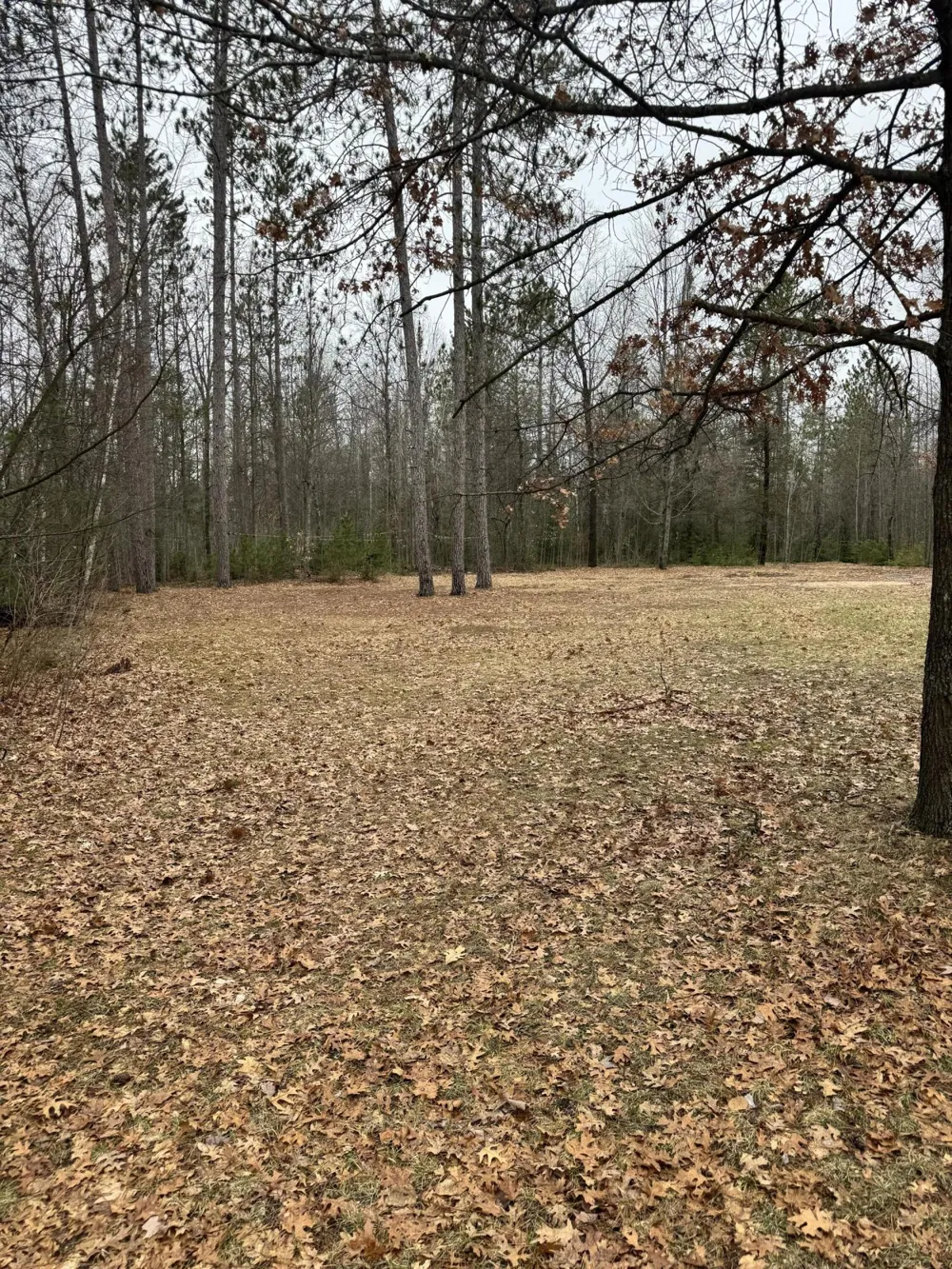 10365 Cadillac Drive Freeman Township, MI 48632