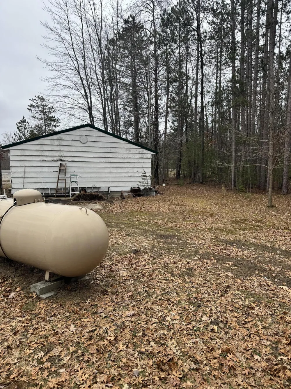 10365 Cadillac Drive Freeman Township, MI 48632