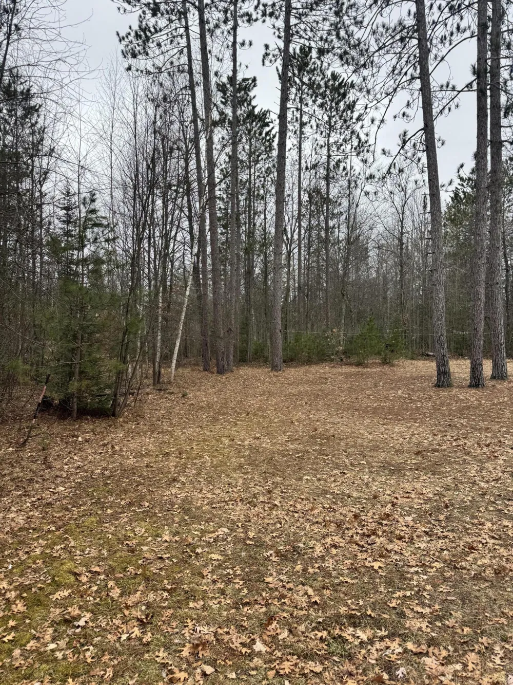 10365 Cadillac Drive Freeman Township, MI 48632