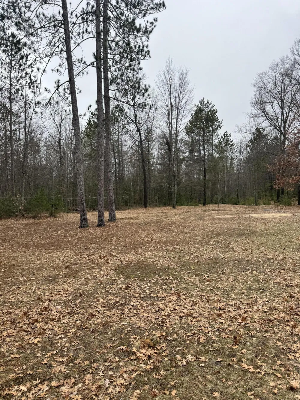 10365 Cadillac Drive Freeman Township, MI 48632
