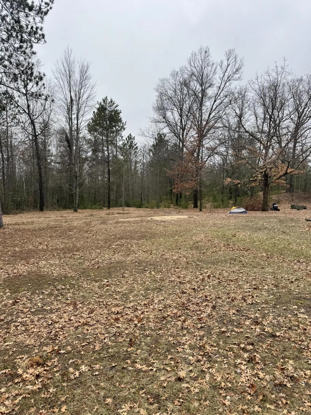 10365 Cadillac Drive Freeman Township, MI 48632