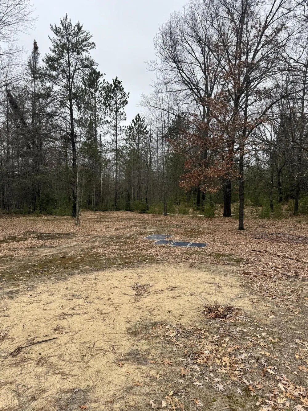 10365 Cadillac Drive Freeman Township, MI 48632