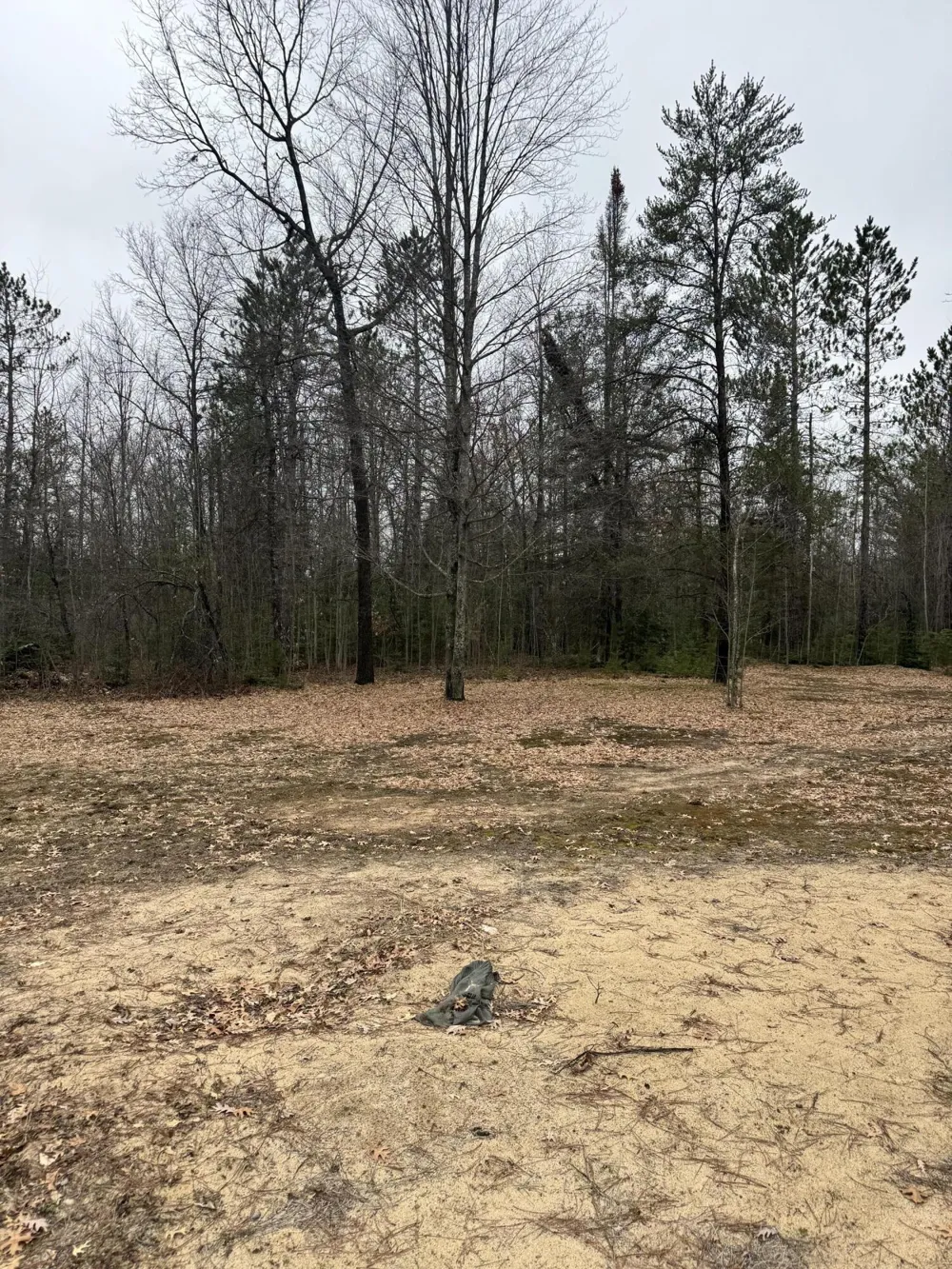 10365 Cadillac Drive Freeman Township, MI 48632