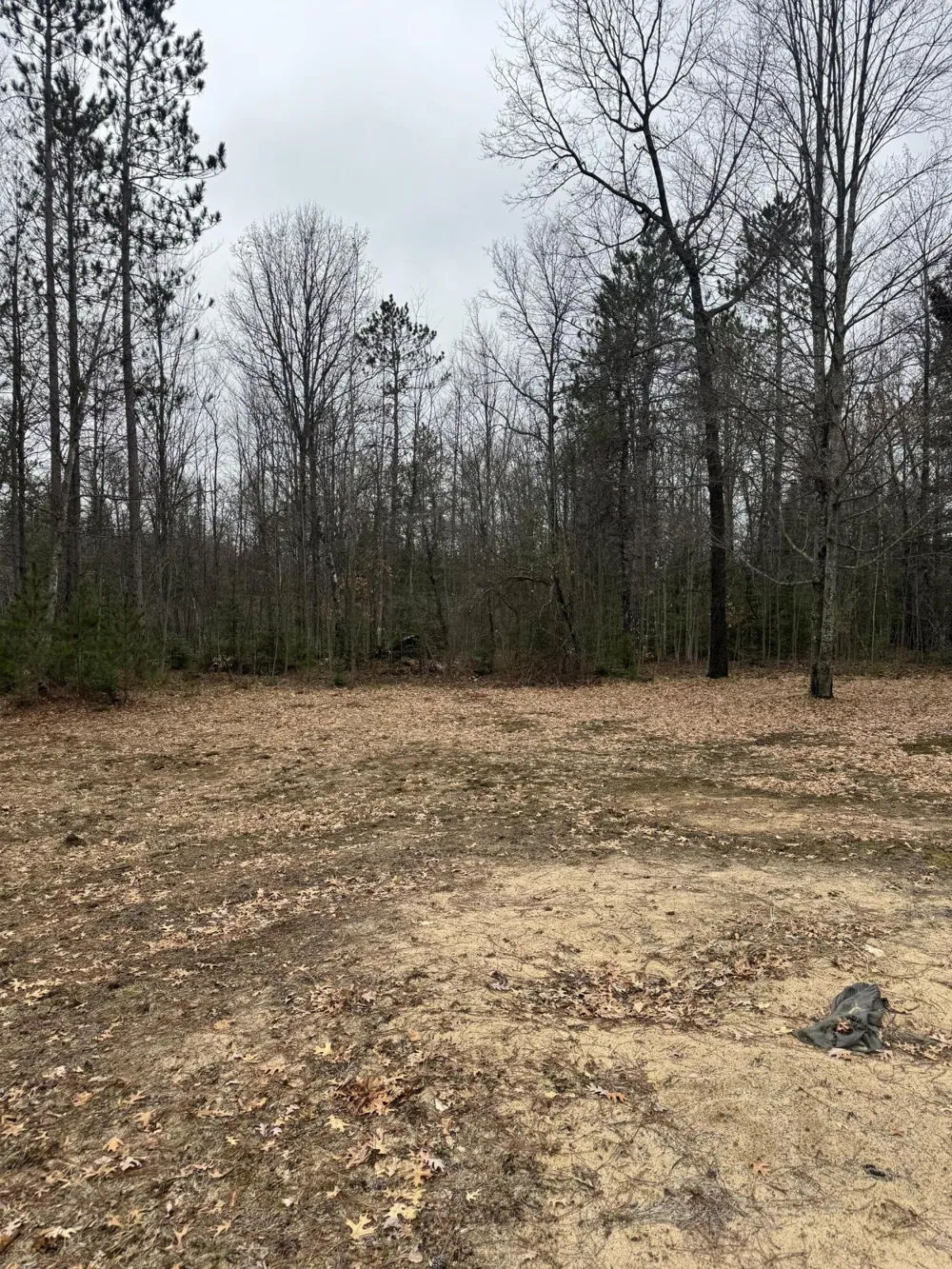 10365 Cadillac Drive Freeman Township, MI 48632