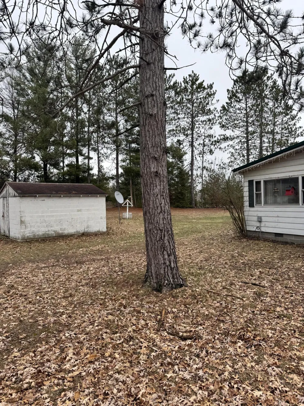 10365 Cadillac Drive Freeman Township, MI 48632