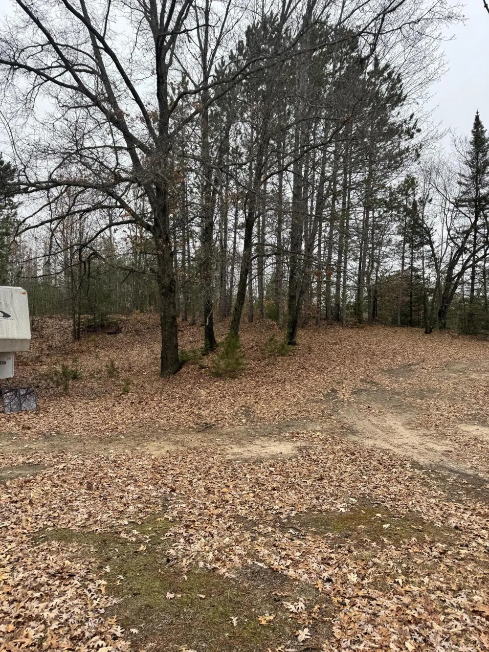 10365 Cadillac Drive Freeman Township, MI 48632
