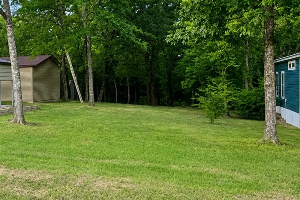 241 Broken Bow Lane Quitman, TX 75783