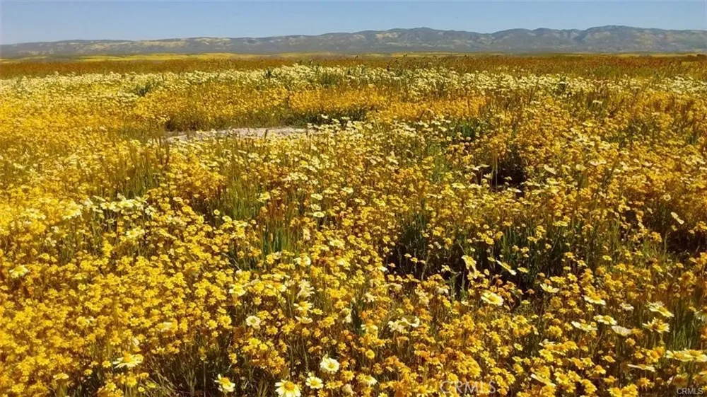Burbank California Valley, CA 93453