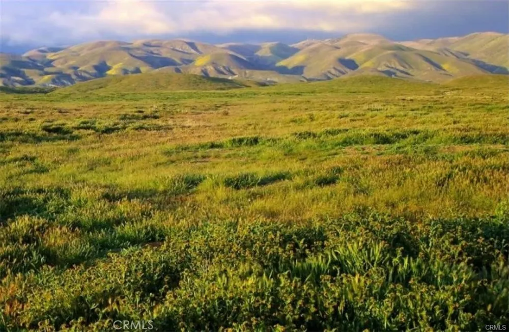Davville California Valley, CA 93453