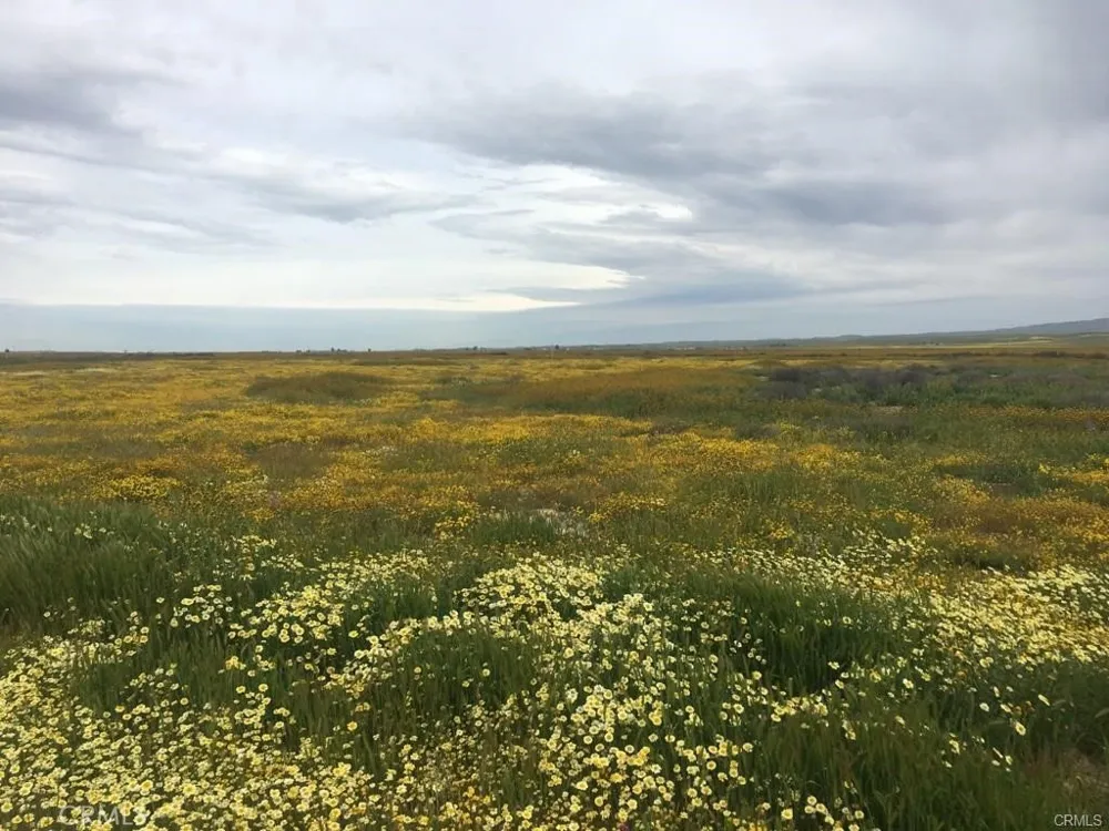 Davville California Valley, CA 93453