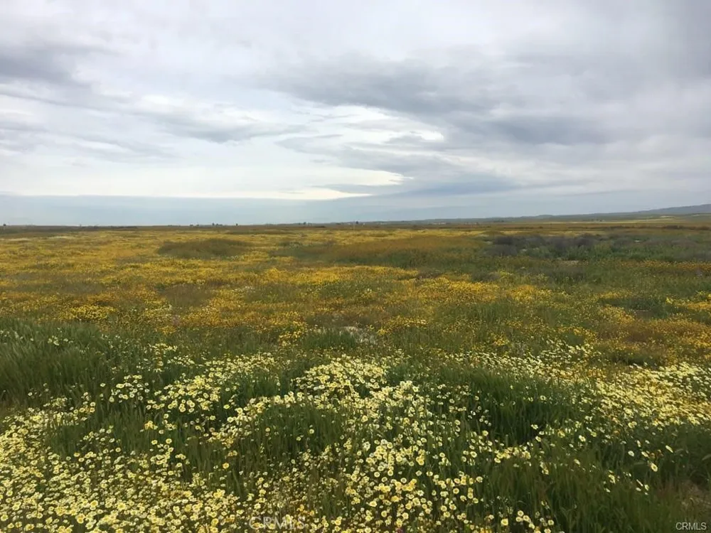 Arrowhead California Valley, CA 93453