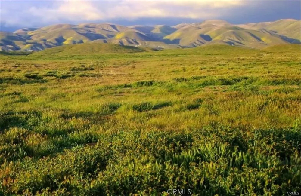 Arrowhead California Valley, CA 93453