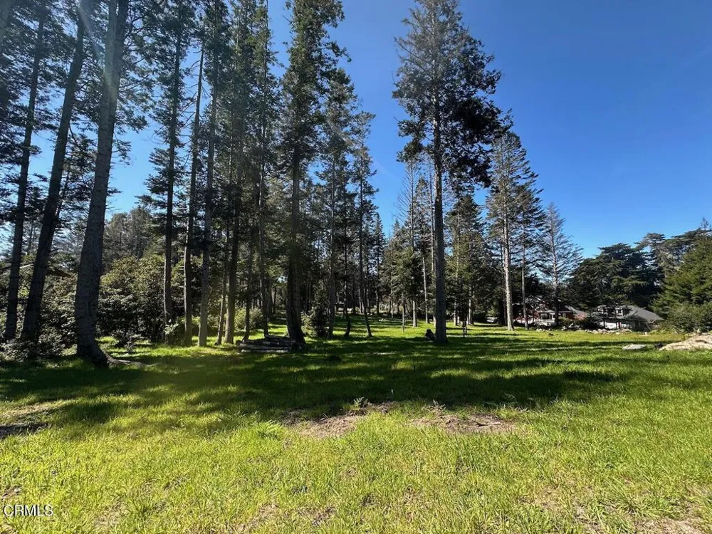 26555 Highway 1 Fort Bragg, CA 95437