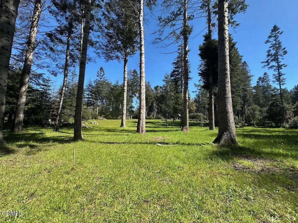 26555 Highway 1 Fort Bragg, CA 95437