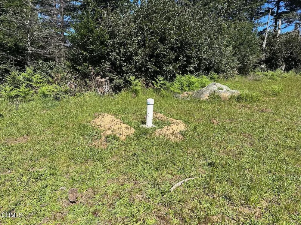 26555 Highway 1 Fort Bragg, CA 95437