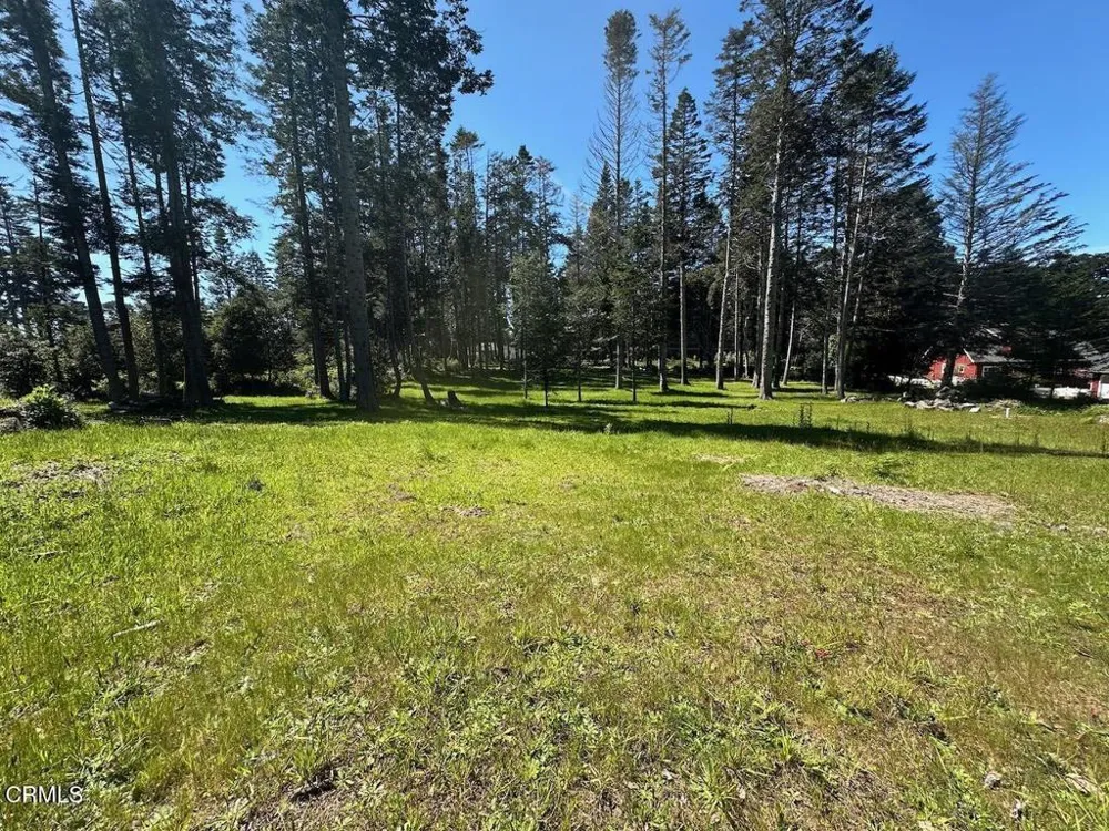 26555 Highway 1 Fort Bragg, CA 95437