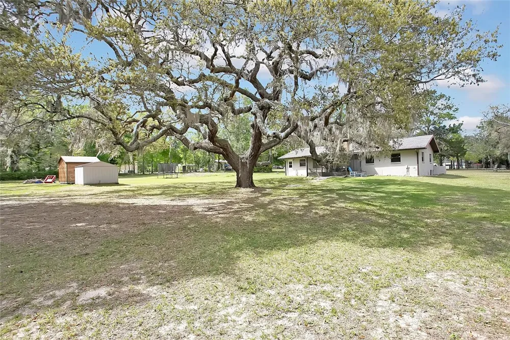 3116 E BUCK Inverness, FL 34452