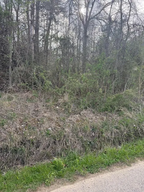 9732 Griffith Road