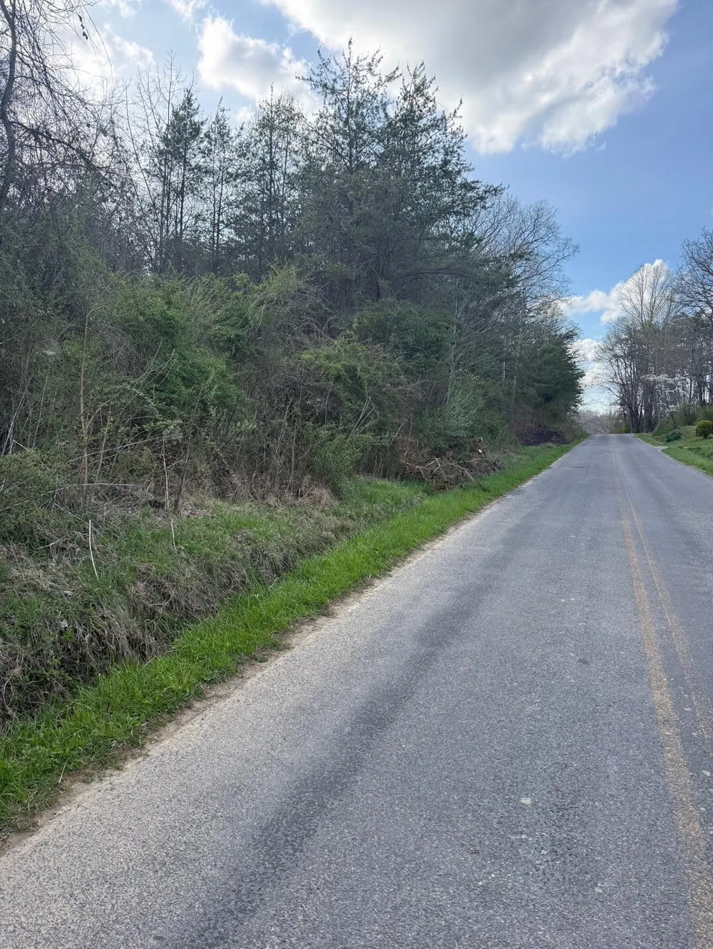 9732 Griffith Road Pikeville, TN 37367