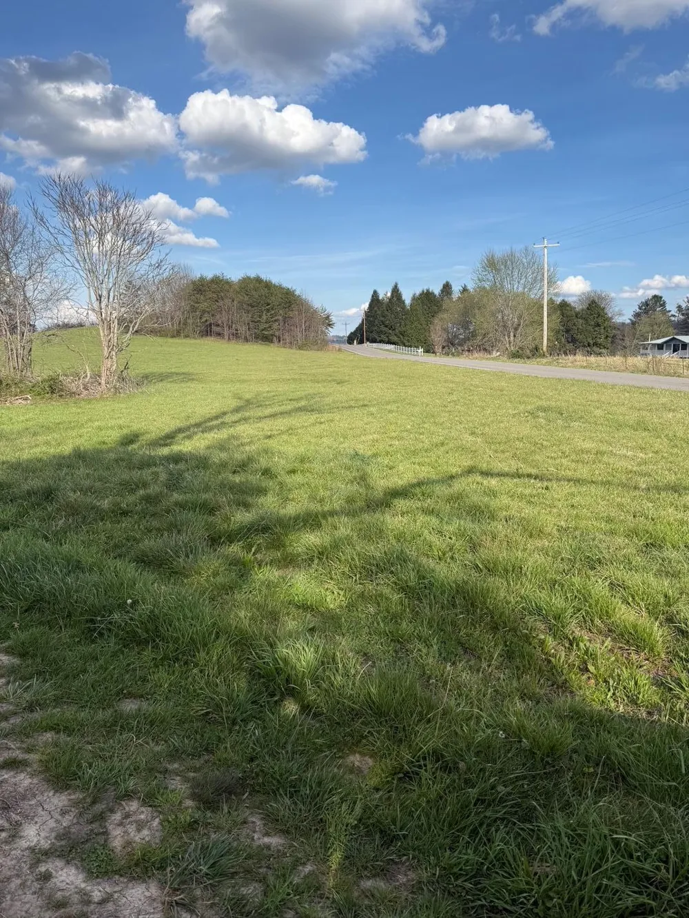 9732 Griffith Road Pikeville, TN 37367