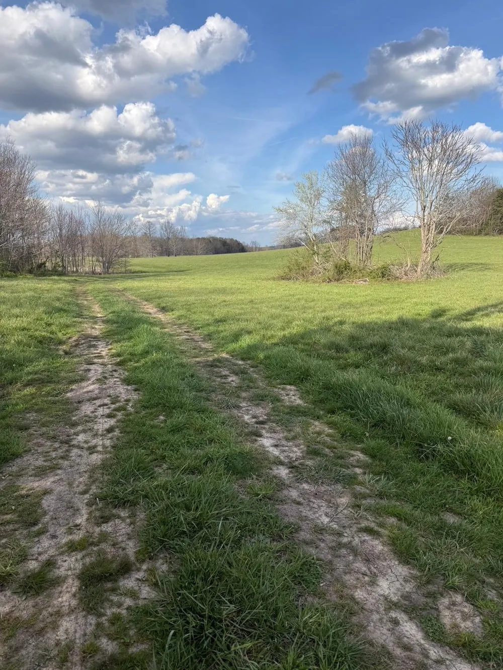 9732 Griffith Road Pikeville, TN 37367