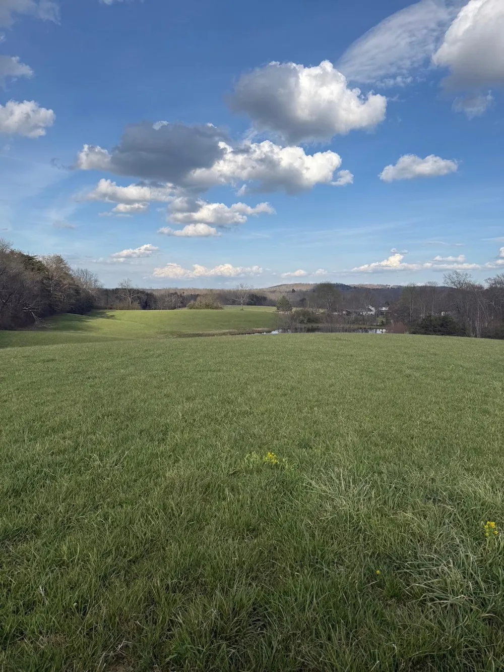 9732 Griffith Road Pikeville, TN 37367