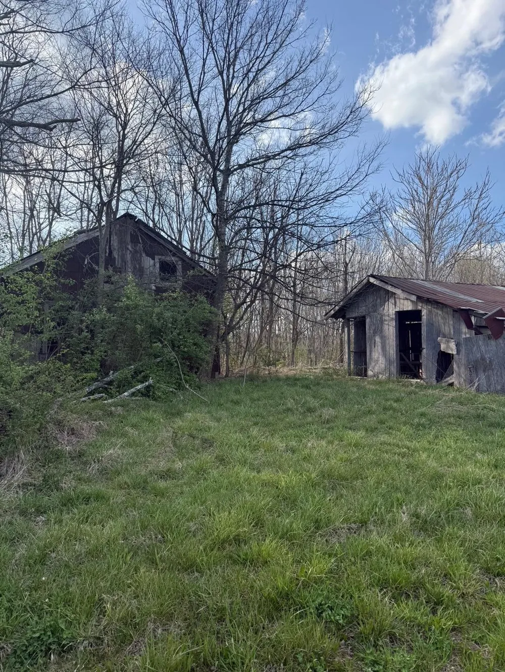 9732 Griffith Road Pikeville, TN 37367