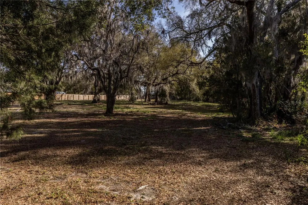 100 S OLD WIRE ROAD Wildwood, FL 34785